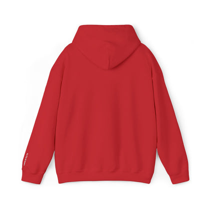DF Hooded Sweatshirt Bat "For The Winners"